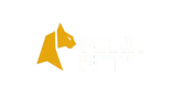 FelixSpin felixspin-logo-es