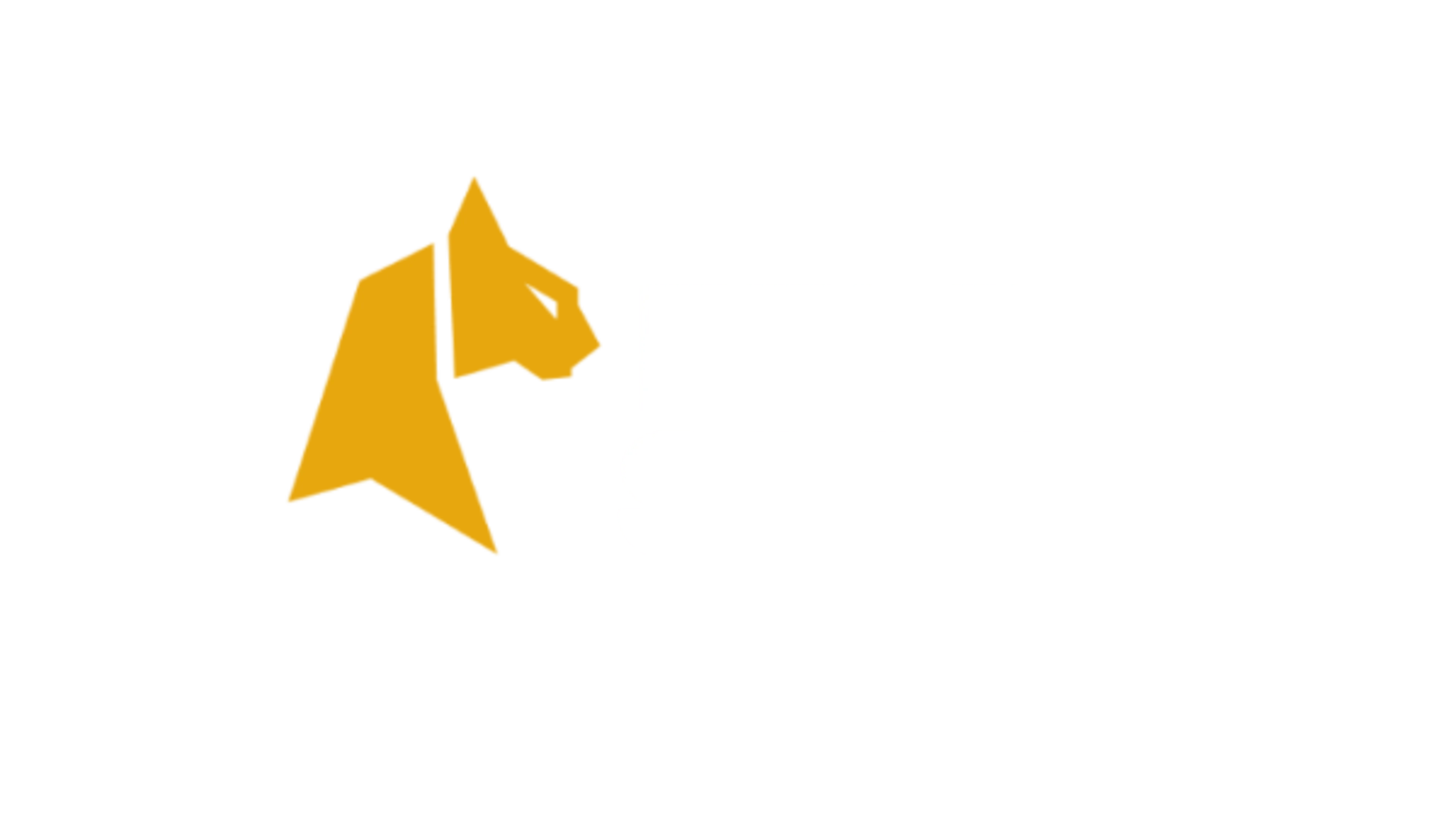 FelixSpin felixspin-logo-es